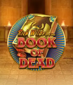 Погрузитесь в захватывающий мир слота Book of Dead от Play'n GO, демонстрирующий яркую графику путешествия Рича Уайлда по древнеегипетским гробницам и артефактам. Откройте затерянные богатства с захватывающими механиками, такими как бесплатные вращения, расширяющиеся иконки и возможность игры на риск. Идеально для тех, кто ищет приключений, желающих захватывающих открытий.